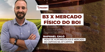 Falta da demanda chinesa será usada pelos frigoríficos como ponto de pressão sobre arroba