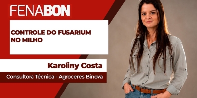 Controle do fusarium no milho deve começar pelo solo, na hora do plantio