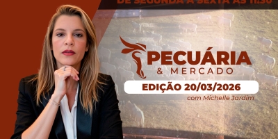 Pecuária em 2026: entre mercado firme, rastreabilidade e desafios nas exportações