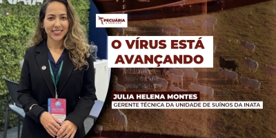 Rotavírus C pode estar por trás de surtos de diarreia neonatal nas granjas