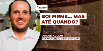 Mercado do boi gordo entra em compasso de espera enquanto China ameaça equilíbrio dos preços.