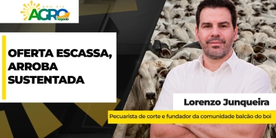 Oferta ajustada de animais terminados mantém preços da arroba do boi fortalecidos e momento é de negócios
