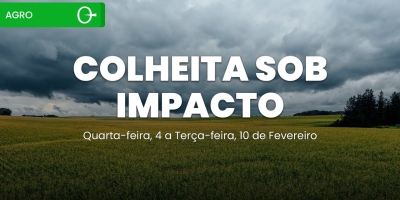 Chuvas persistentes impactam colheita de soja e milho no Brasil