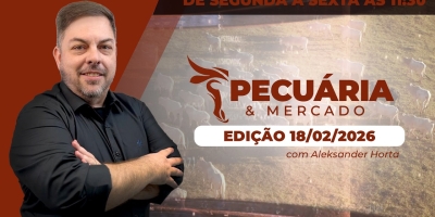 Arroba do boi têm fôlego para novas altas, mas atenção para uma possível lateralização dos preços  no final de março