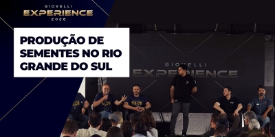 Sementes Giovelli aposta na produção de sementes de soja em segunda safra no Rio Grande do Sul