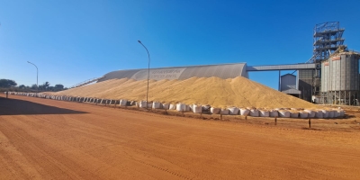 Produtividades próximas das recordes resultam em gargalos logísticos e milho a céu aberto em Mato Grosso