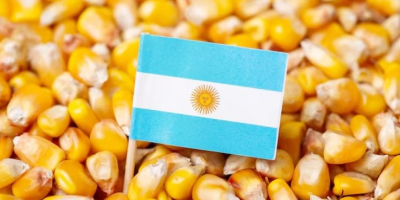 Exportações de milho da Argentina batem recorde em julho, diz bolsa