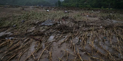 Caos climático na China ameaça safras locais e joga preços da soja e do milho para cima no Brasil