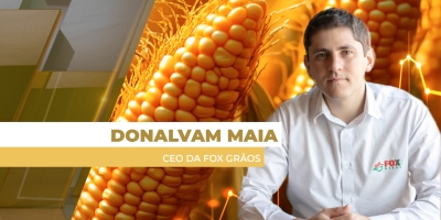 Colheita do milho traz pressão sazonal para os preços no mercado brasileiro