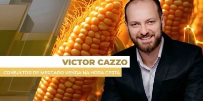 Colheita, clima, USDA e petróleo pressionaram e futuros do milho acumularam desvalorizações ao longo da semana