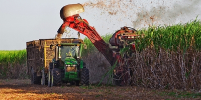 Açúcar passa por momento de alta pressão global e cenário pessimista segue sendo pessimista para os preços