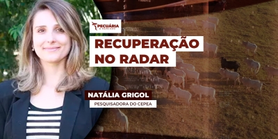 Mercado do leite reage pelo terceiro mês seguido , mas preços ainda não compensam perdas