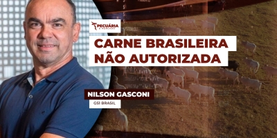 Adoção da rastreabilidade pode minimizar questionamentos sobre sanidade do rebanho brasileiro