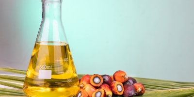 Indonésia pode reviver plano de mistura de biodiesel B50 em meio à alta de preços do petróleo