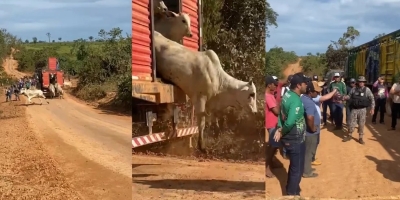 Pasto Nullus: FAEPA avalia medidas judiciais e administrativas para proteger e garantir os direitos dos produtores rurais do Pará