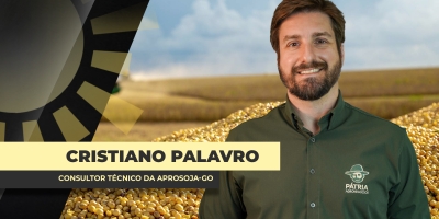 Soja 26/27: Estoques globais devem seguir ajustados mesmo com oferta maior nos principais produtores