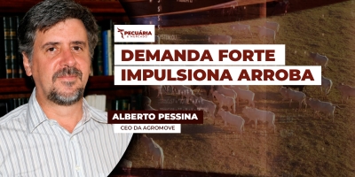 Alta da arroba no 1º semestre veio da demanda; agora, preços firmes dependem de menor oferta