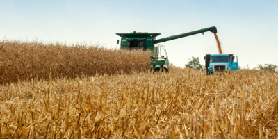 Plano Safra 26/27 terá R$525,1 bi para agro empresarial, com queda no custeio