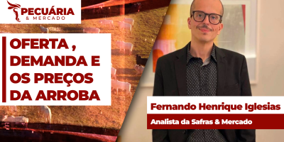 Redução das compras chinesas foi compensada pelo menor abate de animais em julho