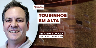 Após dois anos difíceis para os investimentos na pecuária, busca por genética tem apresentado mudanças