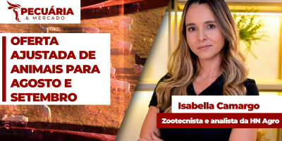 Oferta contida de animais evita pressão maior sobre arroba mesmo com desaceleração na demanda por carne