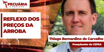Boi Gordo: Reflexos dos preços altos da no 1º semestre são sentidos agora no mercado consumidor