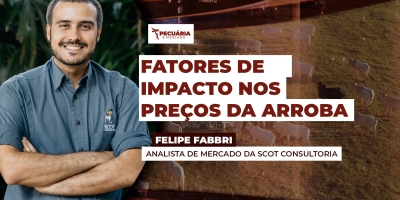 Ritmo das compras chinesas, demanda americana, ano eleitoral e oferta contida são peças essenciais no jogo da pecuária