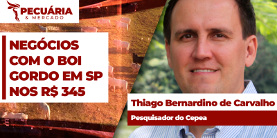 Boi gordo tem momento de reação e SP já registra negócios no patamar dos R$ 345/@; futuro sinaliza preços acima dos R$ 350