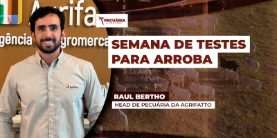 Frigoríficos reduzem compras e pressionam arroba já contabilizando fim das cotas chinesas