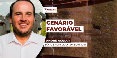 Mercado de carne mais enxuto, encurtamento das escalas dos frigoríficos e preços da arroba inferiores a 2024 dão suporte a um movimento de alta para arroba