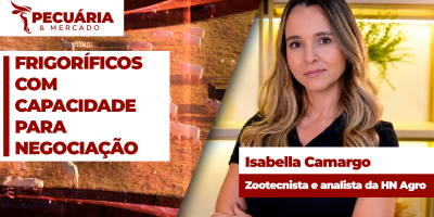 Margens de frigoríficos são positivas e há capacidade para negociação de preços maiores no mercado do boi