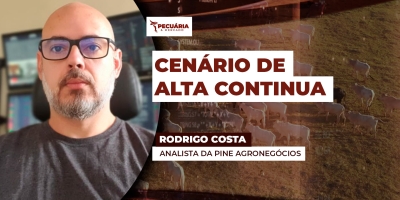 Exportações fortes , demanda interna consistente e uma oferta restrita de animais motivam novas altas da arroba