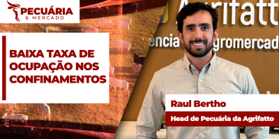 Baixa ocupação nos confinamentos restringe oferta e impulsiona a arroba do boi