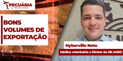 Apesar de fim da cota chinesa, mercado do boi encontra novo piso com bons volumes de exportação