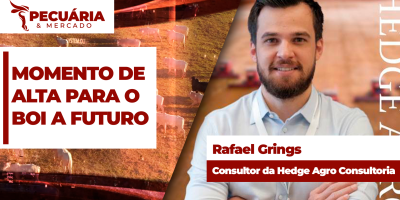 Movimento de compra resulta em alta para a @ do boi gordo no mercado futuro