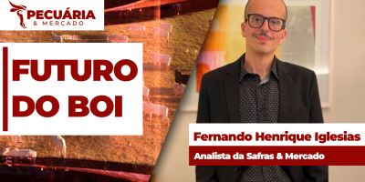 Transição entre terceiro e quarto trimestre do ano deve ser de mercado volátil para o boi