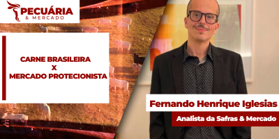 China , UE e agora EUA protegem seus mercados e geram incertezas sobre demanda pela carne bovina brasileira
