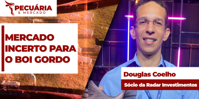 Com liquidez limitada, mercado do boi gordo segue com pressão na arroba