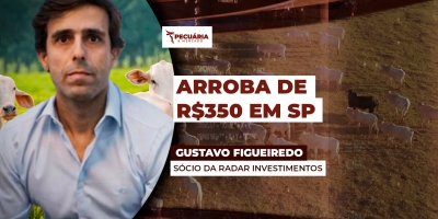 Frigoríficos em SP já pagam R$350 pela arroba do boi,  com cenário de escassez de oferta e demanda aquecida