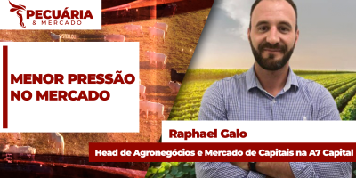 EUA podem incrementar compras de carne bovina do Brasil com redução de tarifas e México fora do jogo