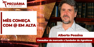 Mês começa com preço da @ em alta e anúncia de bloqueio da União Europeia