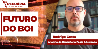 Arroba do boi tende a seguir firme pelos próximos 50 dias, mas sem fundamentos para altas mais agressivas