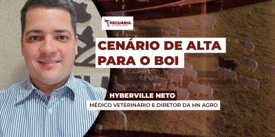 Semana encerra com arroba do boi em alta e movimento deve seguir até o carnaval