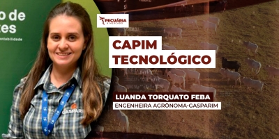 O cuidado da pastagem como cultura começa na escolha do cultivar ideal