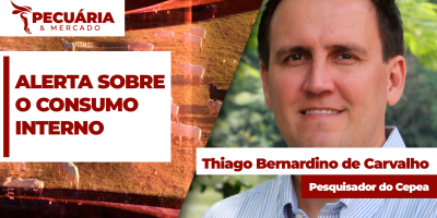 Demanda interna por carne bovina aparece como ponto de atenção na composição de preços da arroba do boi