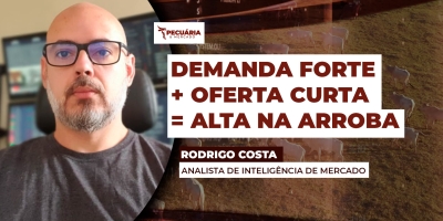 Exportações fortes, preços firmes da carne no atacado e mais oferta reduzindo de animais, criam cenário de alta para arroba