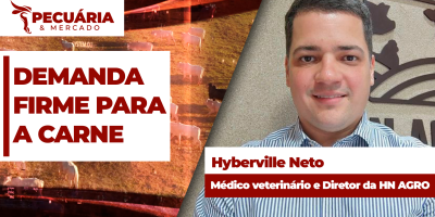 Números das exportações de carne bovina para o mês de julho mostram demanda firme