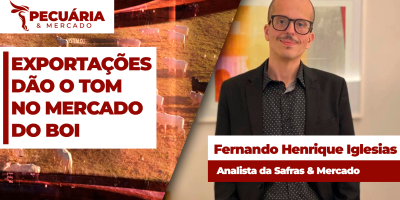 Boi Gordo: Mesmo sem China, outros países dão o tom para manutenção do ritmo de exportações