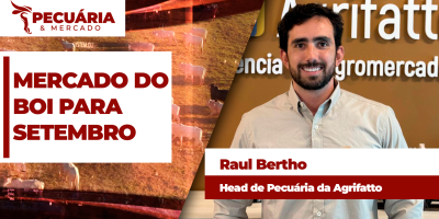 Mercado do boi gordo para setembro deve ser de preços sustentados para a @