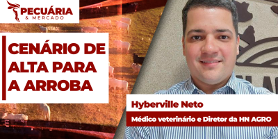 Atenção para alta da arroba do boi com destaque para dois bons momentos , final do ano e primeiro trimestre de 2027.